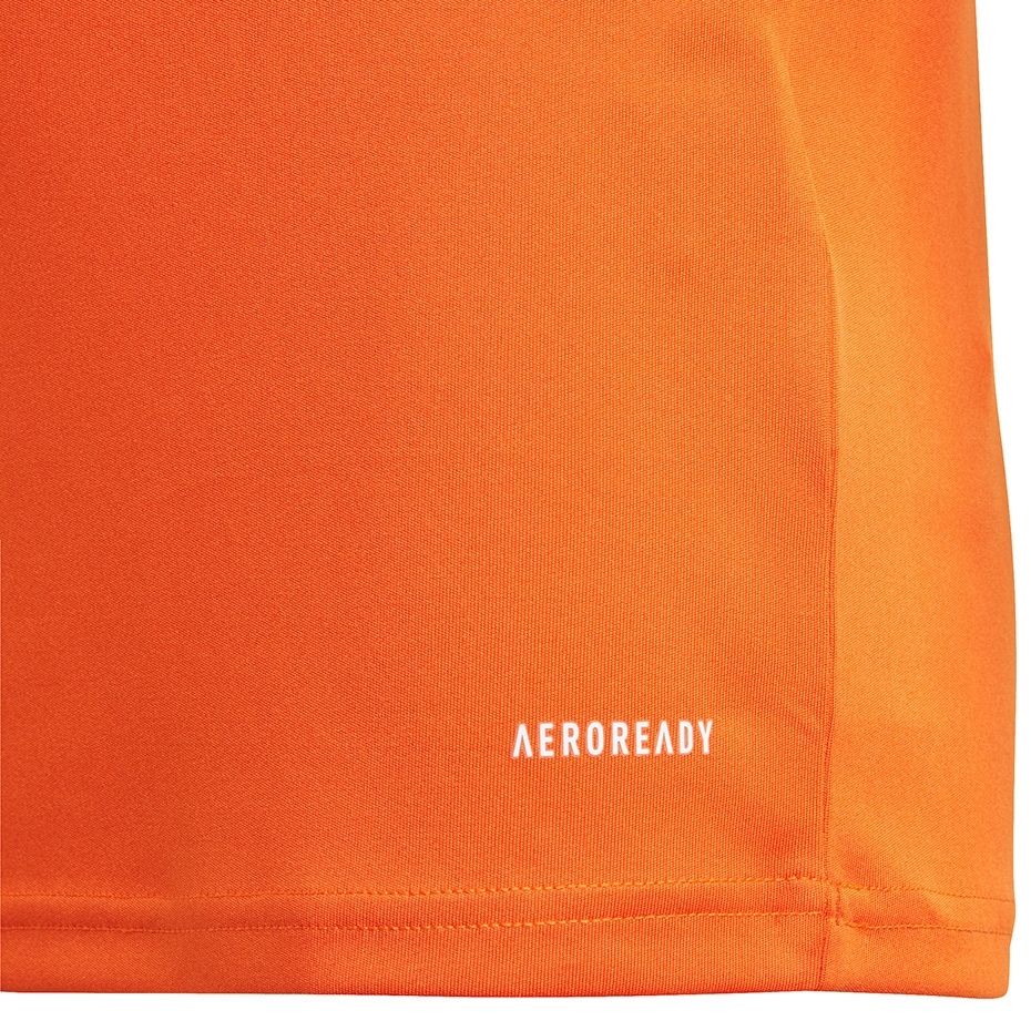 a38f8912bc954a9c5ffa5cf7e6e1d9fc