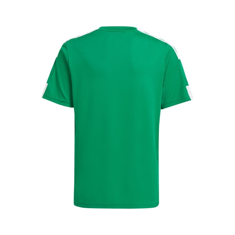 29b80a8c580ed3e5f1ca0860dd9bf9e5